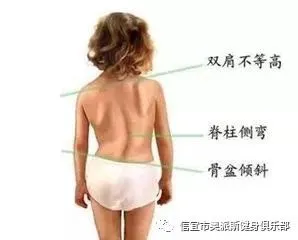 如何制定智能篮球训练计划_1